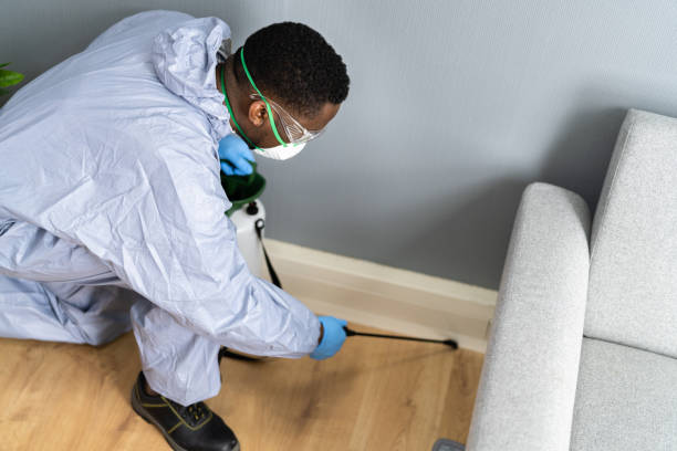 Best Bed Bug Extermination  in Pawtucket, RI